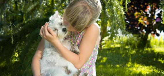 Bolzano and environs